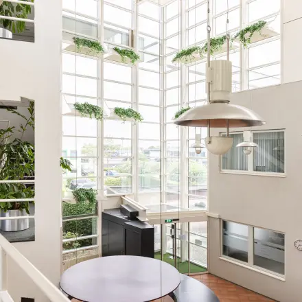 Ruime entree met hoge ramen in kantoorpand op Vlamoven 34, Arnhem IJsseloord. Veel natuurlijke lichtinval en moderne inrichting met planten en ronde tafels. Ideale plek voor kantoorruimte huren in Arnhem.
