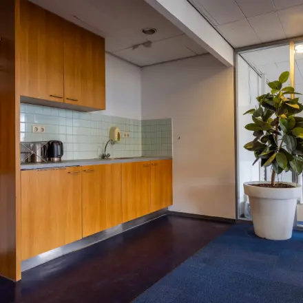 Kantoorruimte huren op Kronenburgsingel 525 in Arnhem Zuid, met een kleine kitchenette en een grote plant naast een glazen wand.
