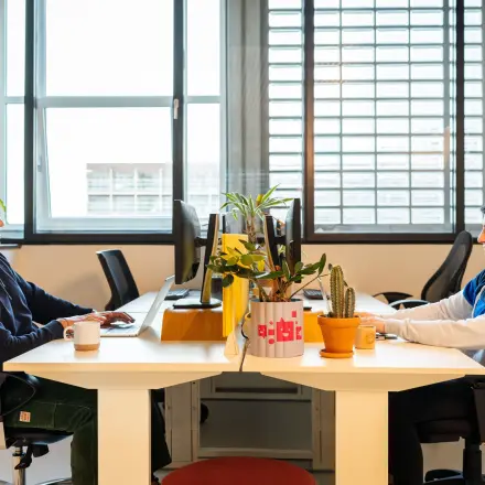 Kantoorruimte op Waldopstraat 5 in Den Haag Centrum, met twee mannen die achter bureaus werken. Gezellige inrichting met planten en lichte muren. Perfect voor professionals die kantoorruimte huren willen.