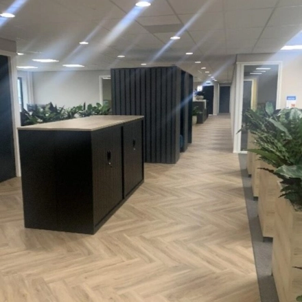 Moderne kantoorruimte te huur op Johan de Wittlaan 3-7 in Den Haag Statenkwartier, met houten vloeren en planten die de ruimte opfrissen.