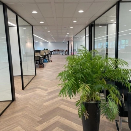 Moderne kantoorruimte te huur op Johan de Wittlaan 3-7 in Den Haag, met glazen wanden en houten vloer, biedt ruime werkplekken en groen decor.