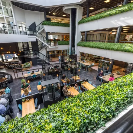 Lichte en groene kantoorruimte huren in Eindhoven Airport met meerdere werkplekken en gemeubileerd interieur, ideaal voor zakelijk samenzijn en netwerken.