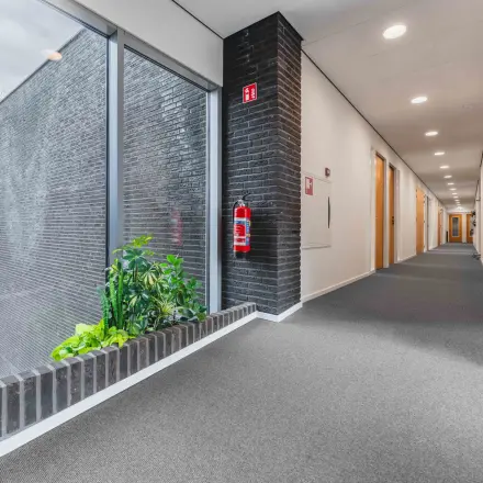 Heldere gang in een kantoorpand aan de Hurksestraat 60 in Eindhoven De Hurk, met grote ramen en groene planten, ideaal om kantoorruimte te huren.