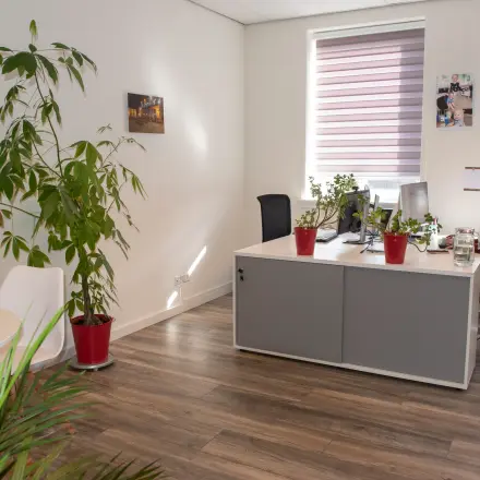 Een lichte kantoorruimte op Waarderweg 19, Haarlem Waarderpolder, met houten vloer, grote plant en een dame werkend achter een bureau.