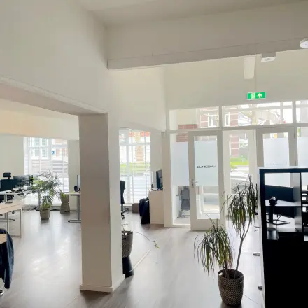 Ruime, lichte kantoorruimte op Wilhelminasingel 44-46 in Maastricht, met meerdere werkplekken te huur. Grote ramen en planten geven de ruimte een frisse uitstraling.