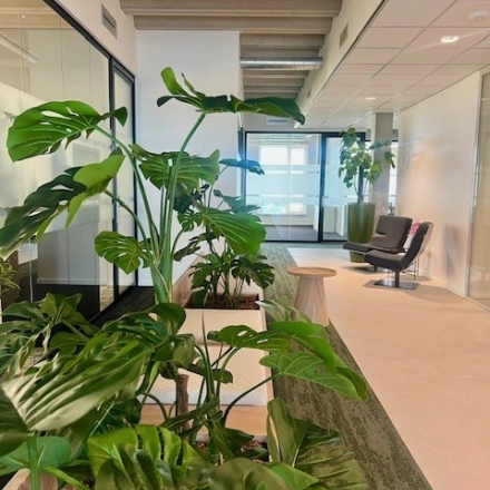 Moderne kantoorruimte huren op Bahialaan 100 in Rotterdam Brainpark met veel groen en grote planten langs de glazen wanden. Comfortabele zitplaatsen aanwezig.