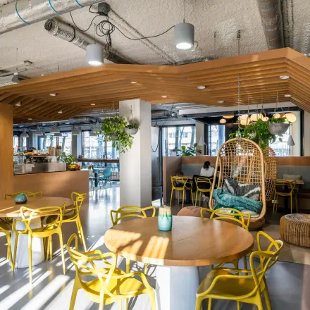 Moderne kantoorruimte in Rotterdam Centrum op Westblaak 180 met houten en gele accenten, geschikt om te huren. Gezellige inrichting met planten en tafels. Ideale plek voor creatieve werksessies.