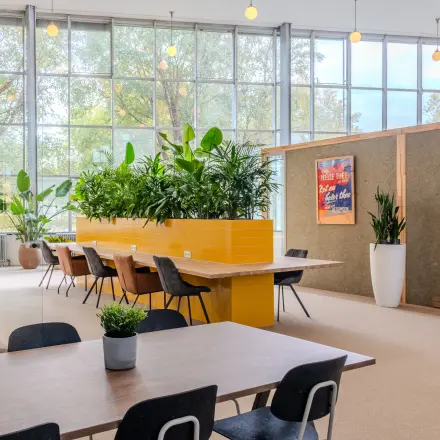 Kantoorruimte op Van Nelleweg 1, Rotterdam Delfshaven, met moderne inrichting, grote ramen, planten en een lange vergadertafel. Geschikt voor wie een kantoorpand wil huren in een dynamische omgeving.