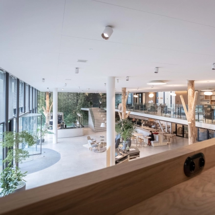 Moderne kantoorruimte met veel natuurlijk licht, houten afwerkingen en planten op Van Deventerlaan 31-51, Utrecht Papendorp. Een open indeling met werkplekken en vergaderruimtes. Geschikt voor kantoorruimte huren.