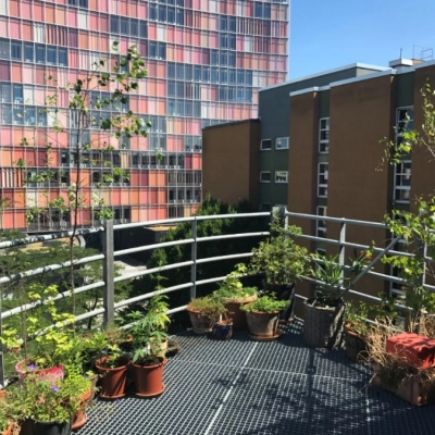Außenansicht eines Balkons mit Pflanzen in Töpfen, umgeben von urbanen Gebäuden in Berlin Kreuzberg.
