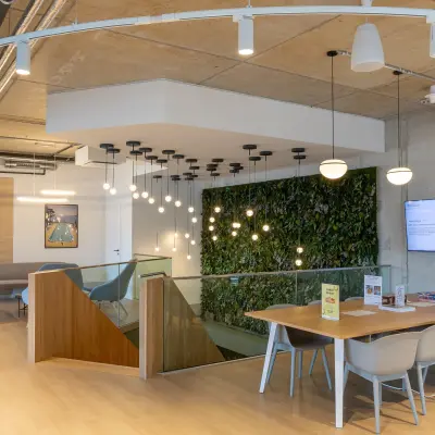 Modernes Büro mit grüner Wand und Holzakzenten in Berlin Mitte, ideal zur Bürofläche mieten, mit Arbeitsplätzen und Sitzgelegenheiten.