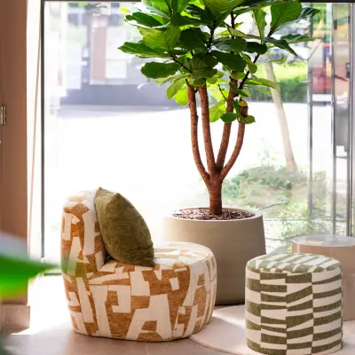 Bright and inviting lounge area with patterned chairs and a potted plant, suitable for office space rental at Maanlander 43.