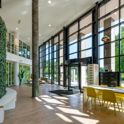 Bright, spacious office interior at Overschiestraat 186, Amsterdam De Schinkel, featuring large windows, modern furniture, and lush greenery. Great option for office space rental.