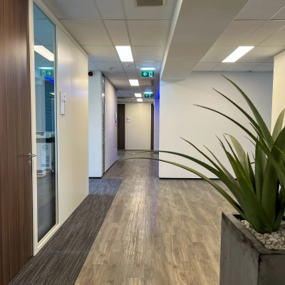 Bright corridor at Daalwijkdreef 47, Amsterdam Duivendrecht, ideal for office space rental, featuring modern design with wooden flooring and large planters.