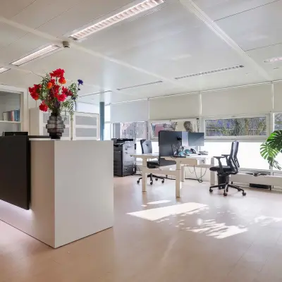 Bright office space at Prins Willem-Alexanderlaan 301 in Apeldoorn with modern furnishings including desks, chairs, and vibrant plants, ideal for office space rental.