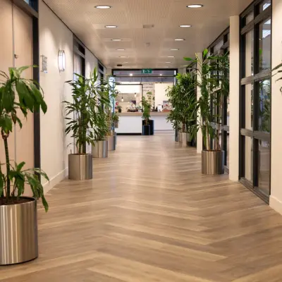 Bright hallway in Apeldoorn's Schumanpark 9, featuring potted plants and wooden flooring; ideal for office space rental.