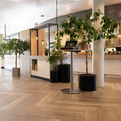 Modern reception area at Schumanpark 9, Apeldoorn with plants and a welcoming desk, ideal for those looking to rent office space in a stylish environment.