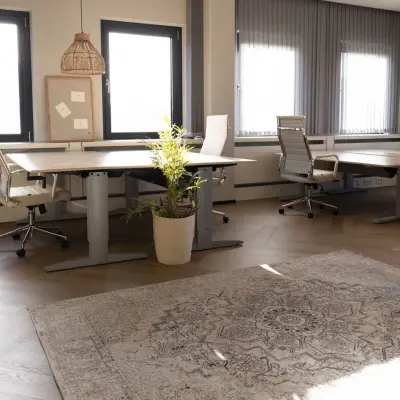 Furnished office space rental at Schumanpark 9 in Apeldoorn featuring modern desks, chairs, and plants, ideal for productivity.
