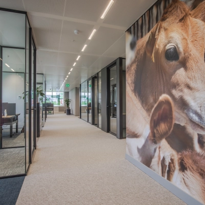Modern office space at Rijksweg-West 2 in Arnhem Zuid with glass-fronted meeting rooms and a vibrant mural along the hallway, available for office space rental.