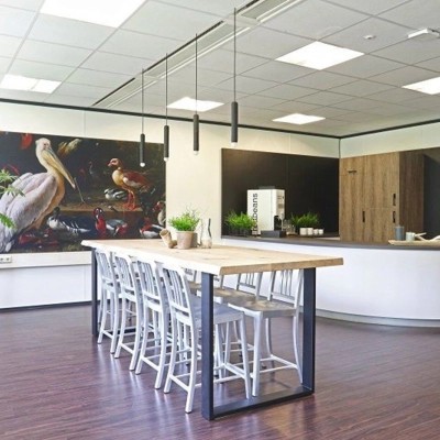 Bright office space at Anderlechtstraat 15, Eindhoven North featuring a long wooden table with chairs, plants, and modern lighting, perfect for collaborative work. Ideal for office space rental.