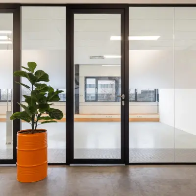 Bright office space with glass walls, a potted plant, and ample natural light at Waarderweg 52, ideal for office space rental in Haarlem Waarderpolder.