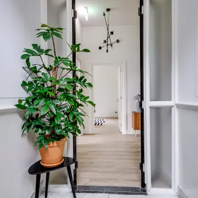 View of an office entry space with potted plant and open doors leading into a bright, inviting area at Graaf Florislaan 40 in Hilversum. Ideal for office space rental.