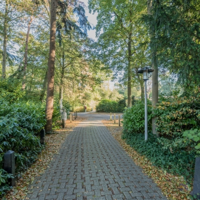 Entrance path surrounded by lush greenery leading to office space for rent at Mozartlaan 27, Hilversum.