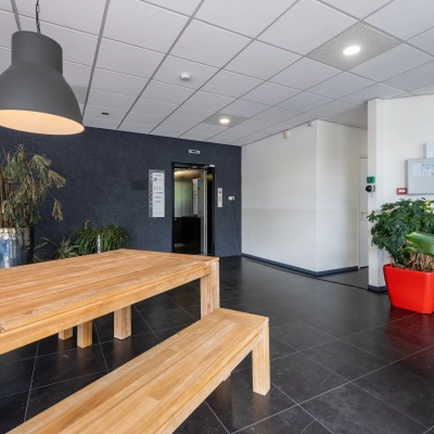 Furnished office interior at Polakweg 7, Rijswijk featuring wooden benches and lush greenery, ideal for those seeking office space rental.