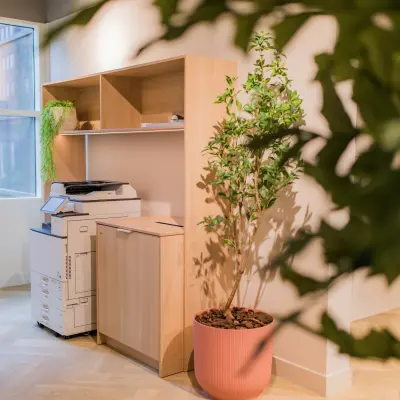 Licht kantoorinterieur met printer, houten kast en groene plant op Hullenbergweg 109-135 in Amsterdam Zuid-Oost; ideaal voor kantoorruimte huren.