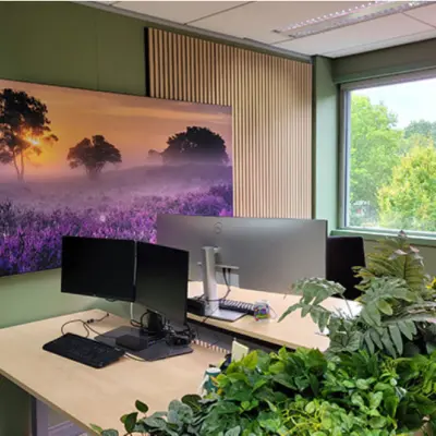 Kantoorruimte huren in Amsterdam Zuid-Oost met een raam dat uitzicht biedt op groen. De ruimte heeft bureauopstellingen met dubbele monitoren en planten aan de randen.