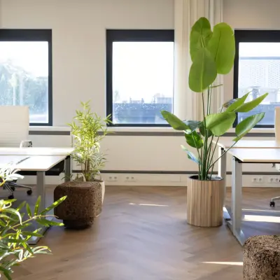 Lichte kantoorruimte met houten vloer, twee bureaus en planten, ideaal voor kantoorruimte huren in Apeldoorn op Schumanpark 9.