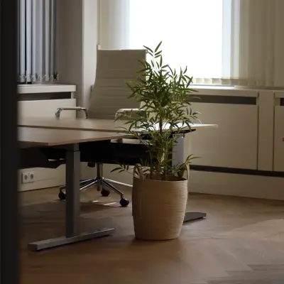 Moderne kantoorruimte met grote ramen en een plant in een pot op de voorgrond, gelegen in kantoorpand Schumanpark 9, Apeldoorn. Perfect voor wie kantoorruimte wil huren.