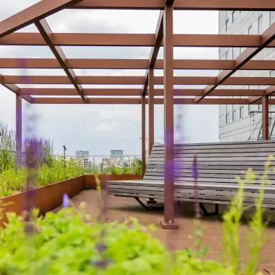 De buitenruimte van het kantoorpand op Diemerhof 42 in Diemen met houten banken onder een stalen pergola, omgeven door groene planten en een stadse horizon.