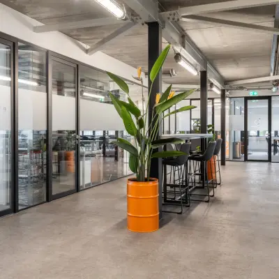 Moderne kantoorruimte op Waarderweg 52, Haarlem Waarderpolder, met glazen wanden, hoge plafonds en planten. Ideaal voor kantoorruimte huren of werken in een kantoorpand. Stijlvoller dan een doorsnee werkplek.