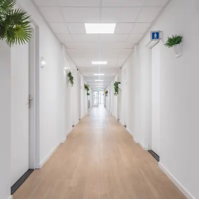 Heldere en lange gang met houten vloer en aan weerszijden witte deuren in een kantoorpand op de Steenovenweg 5 in Helmond. Stilistisch aangekleed met groene planten aan de muur.