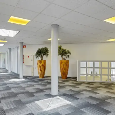 Ruime, lichte kantoorruimte op Ouddeelstraat 7a in Leeuwarden met moderne vloerbedekking. Grote planten en veel lichtinval geven het pand een frisse uitstraling. Ideaal voor wie een kantoorruimte wil huren.